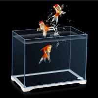 5.5 Litres SUNSUN Portable Table Aquarium Fish Tank with LED and filter